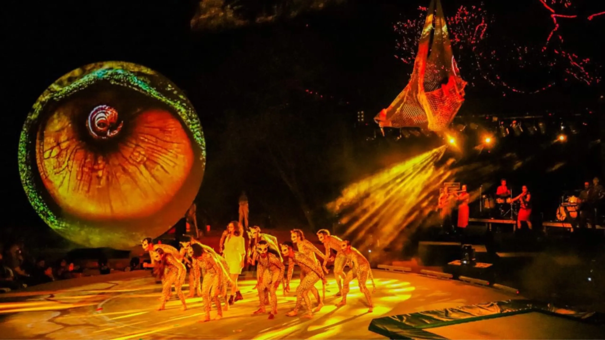 Festival Ópera da Serra da Capivara (banner)