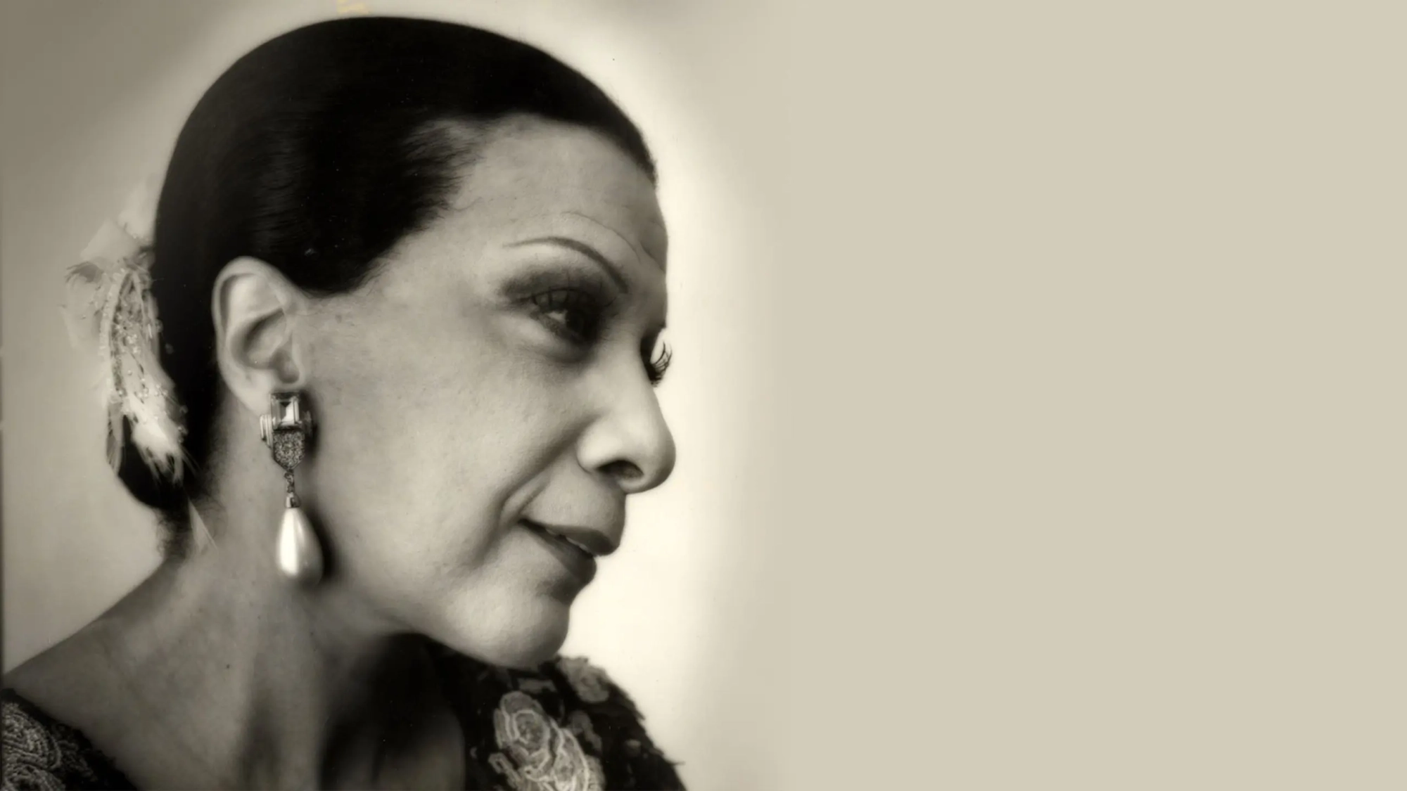 elizeth cardoso (banner)