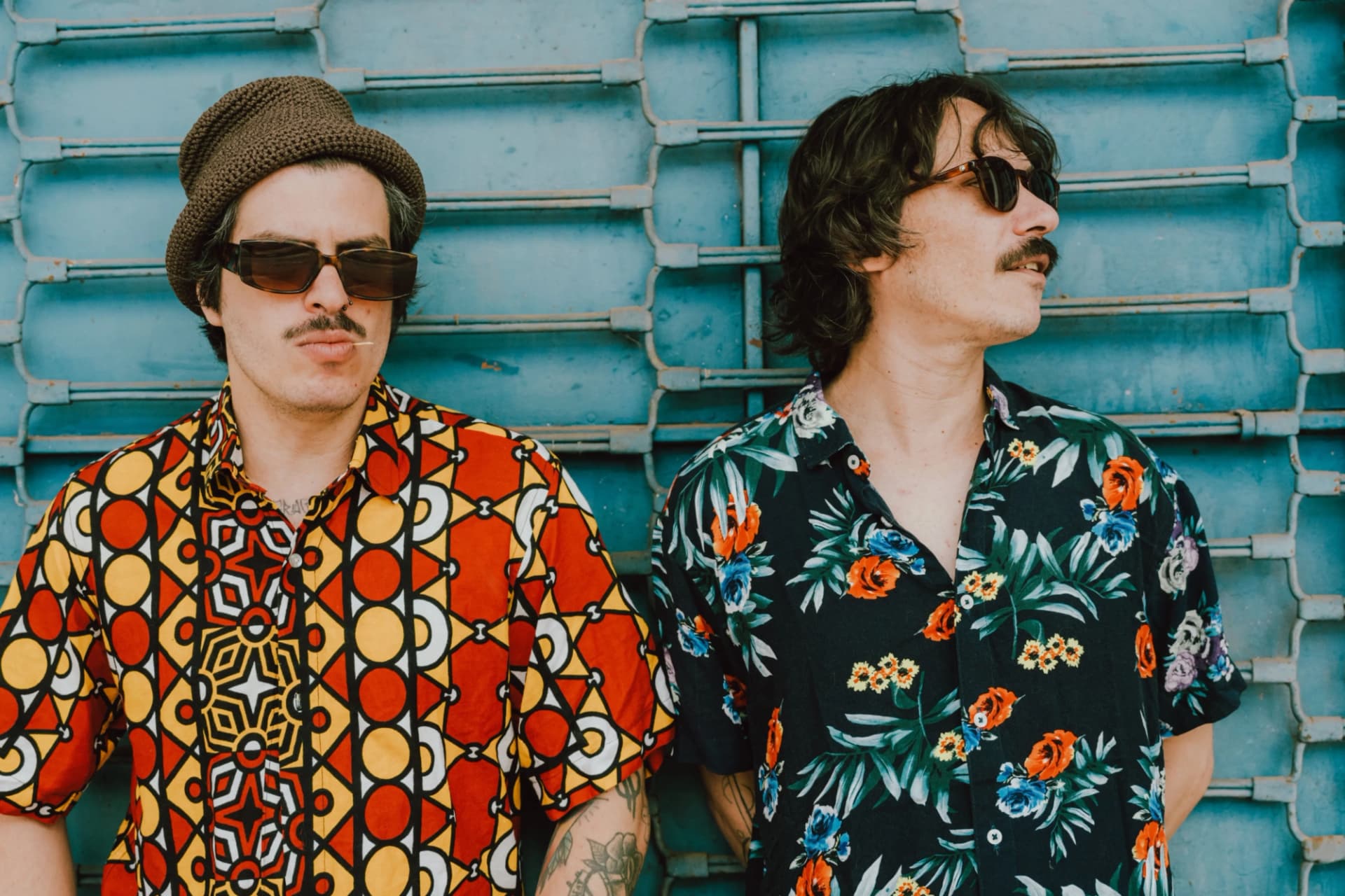 lambada da serpente (feature)