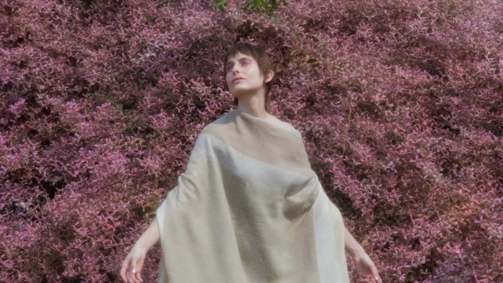 nay porttela (banner)