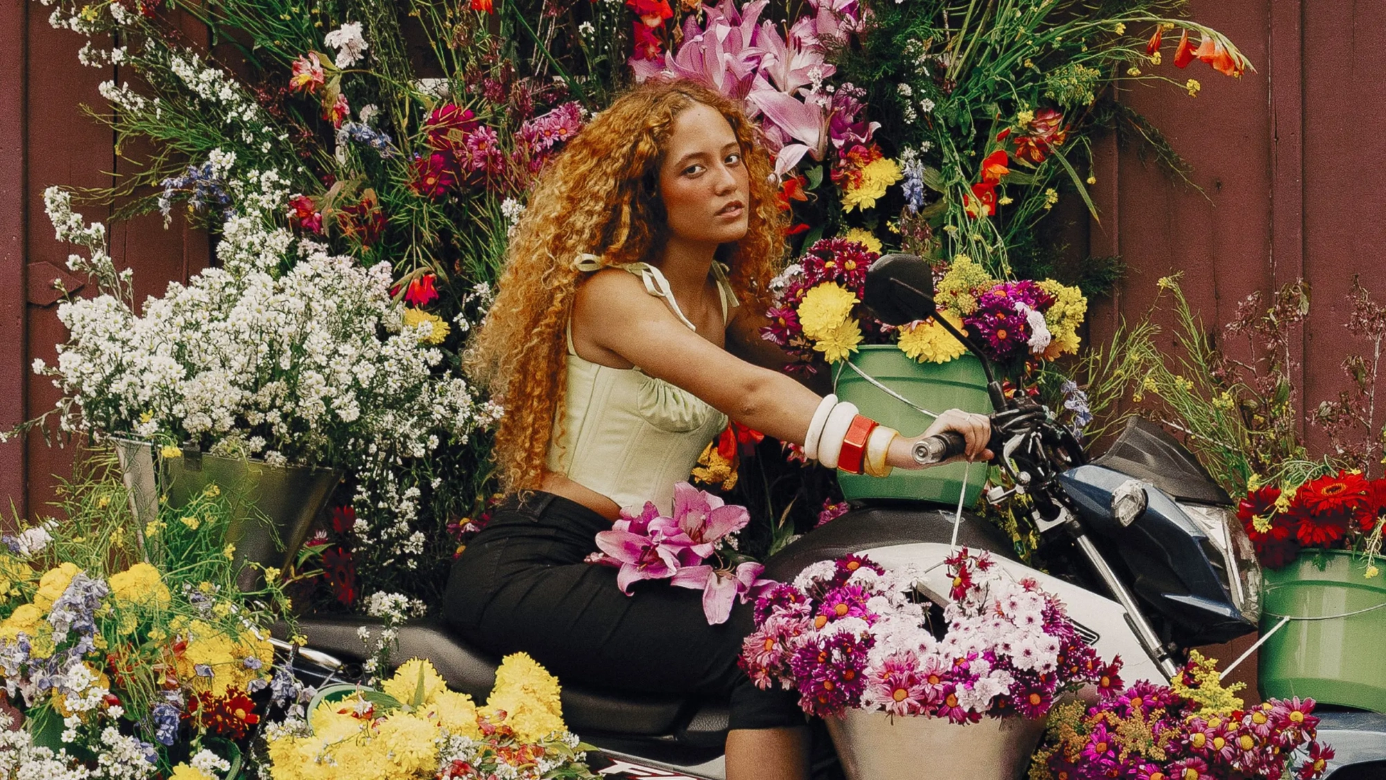 alulu paranhos (banner)