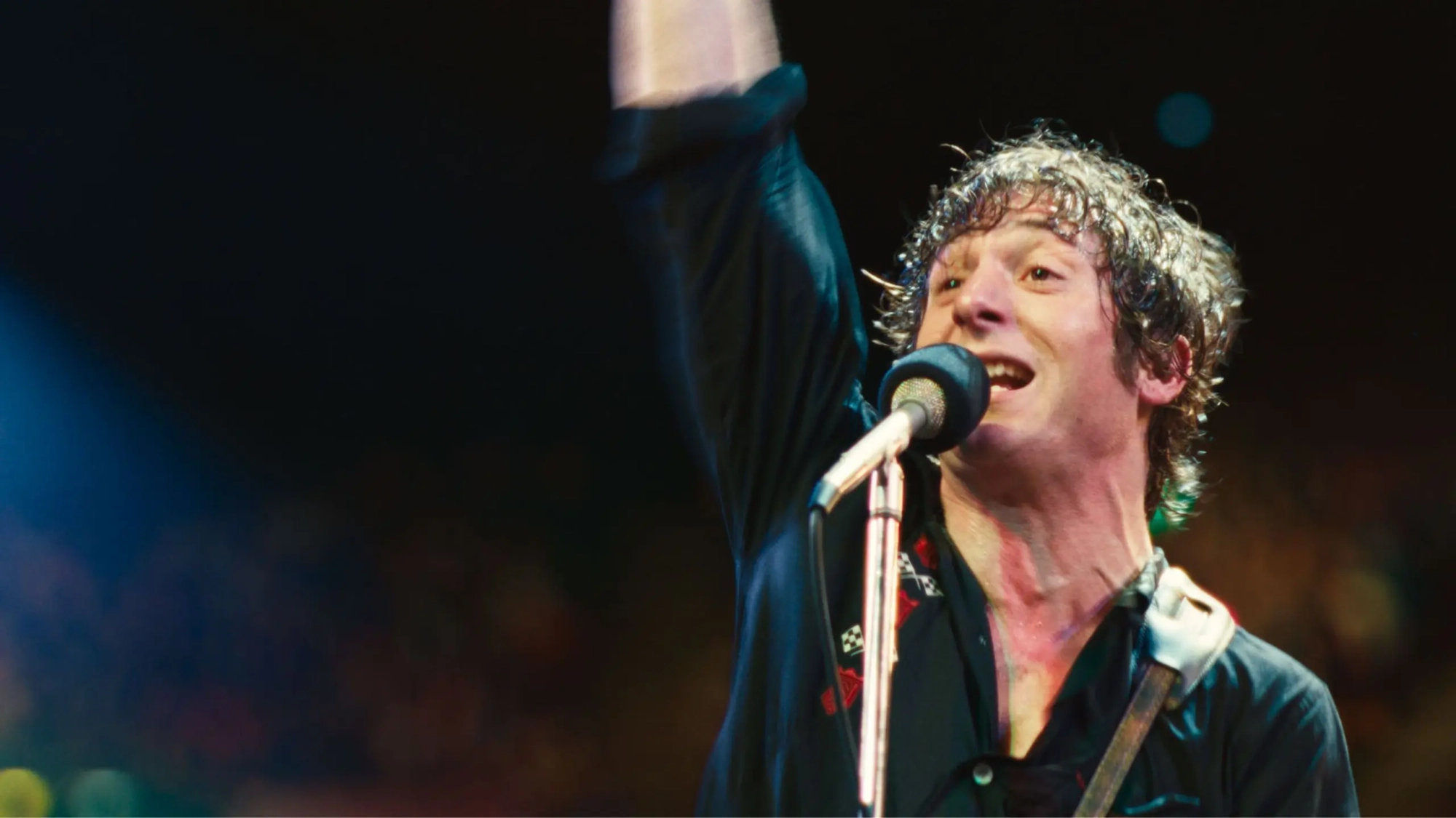 bruce Springsteen (banner)