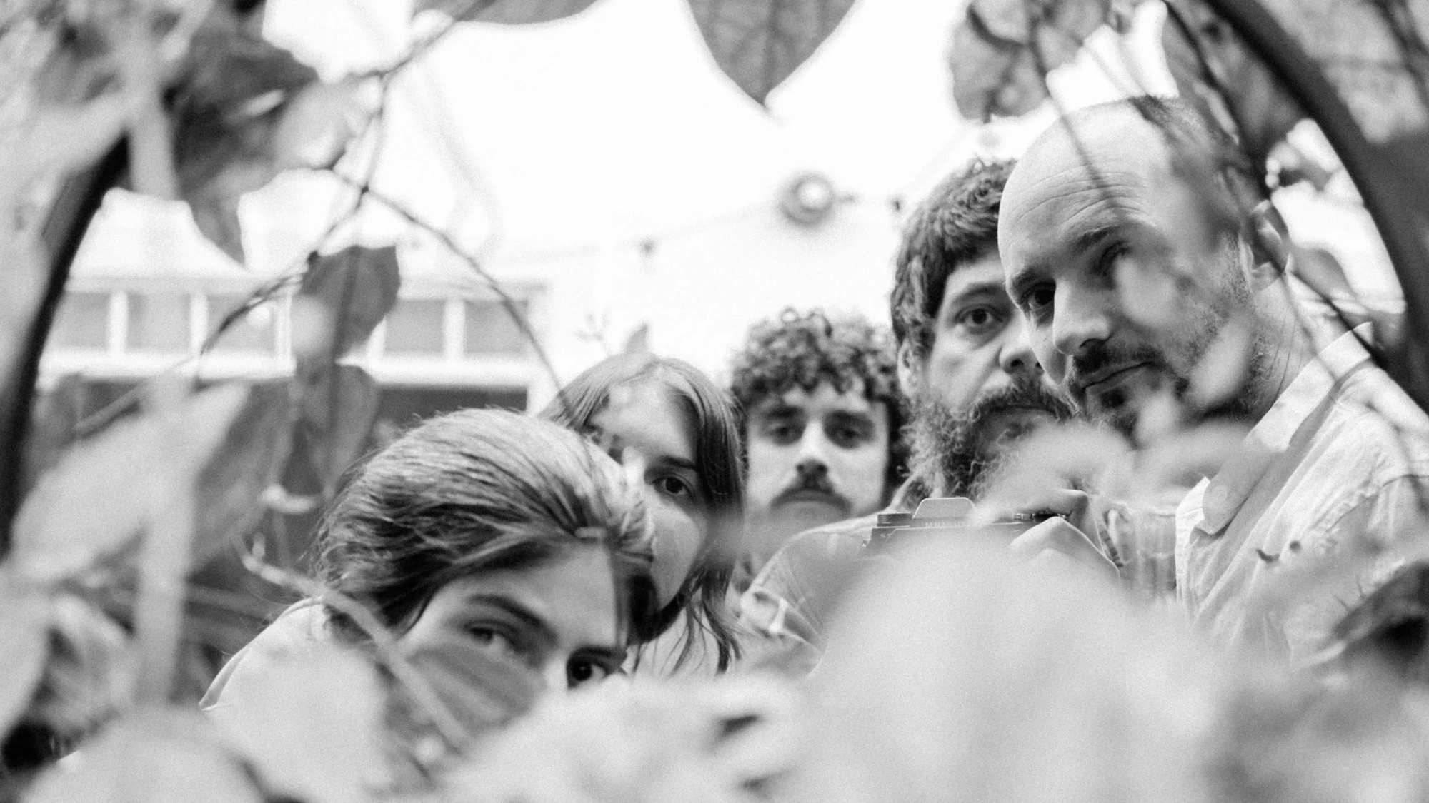 desastros (banner) (1)