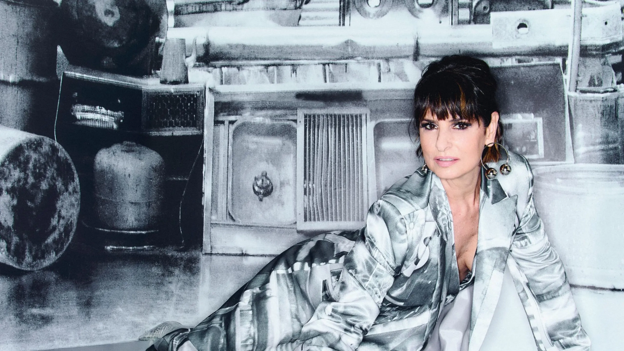 fernanda abreu (banner)