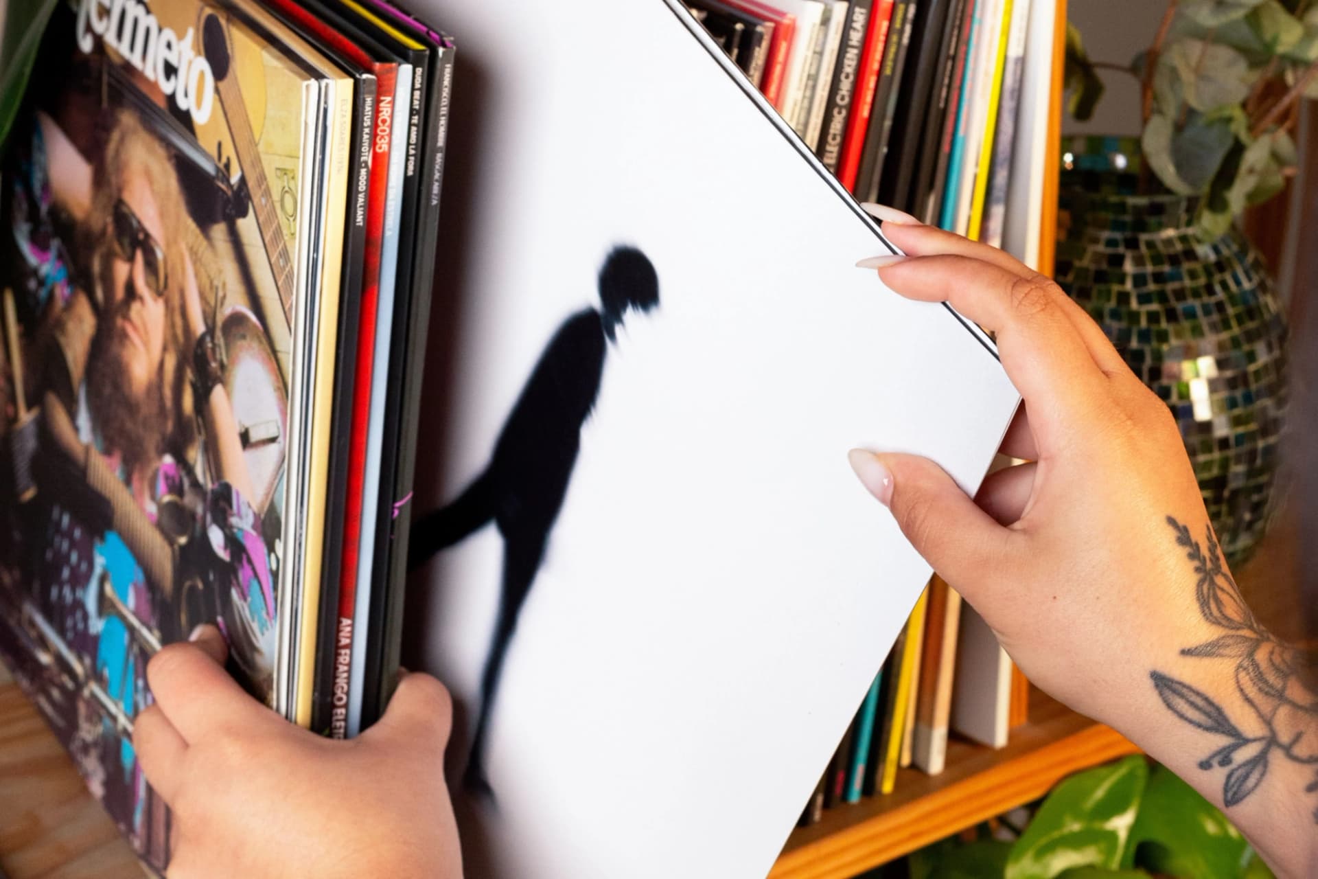 vinil (feature)