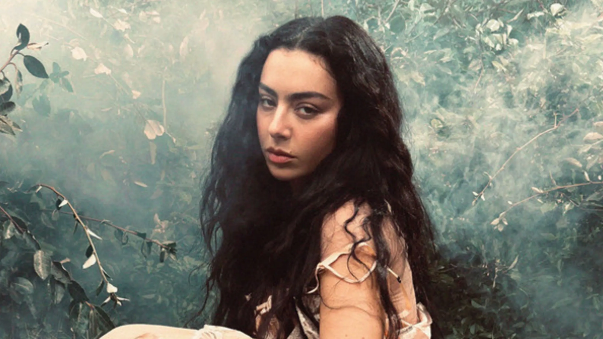 charli xcx (banner)