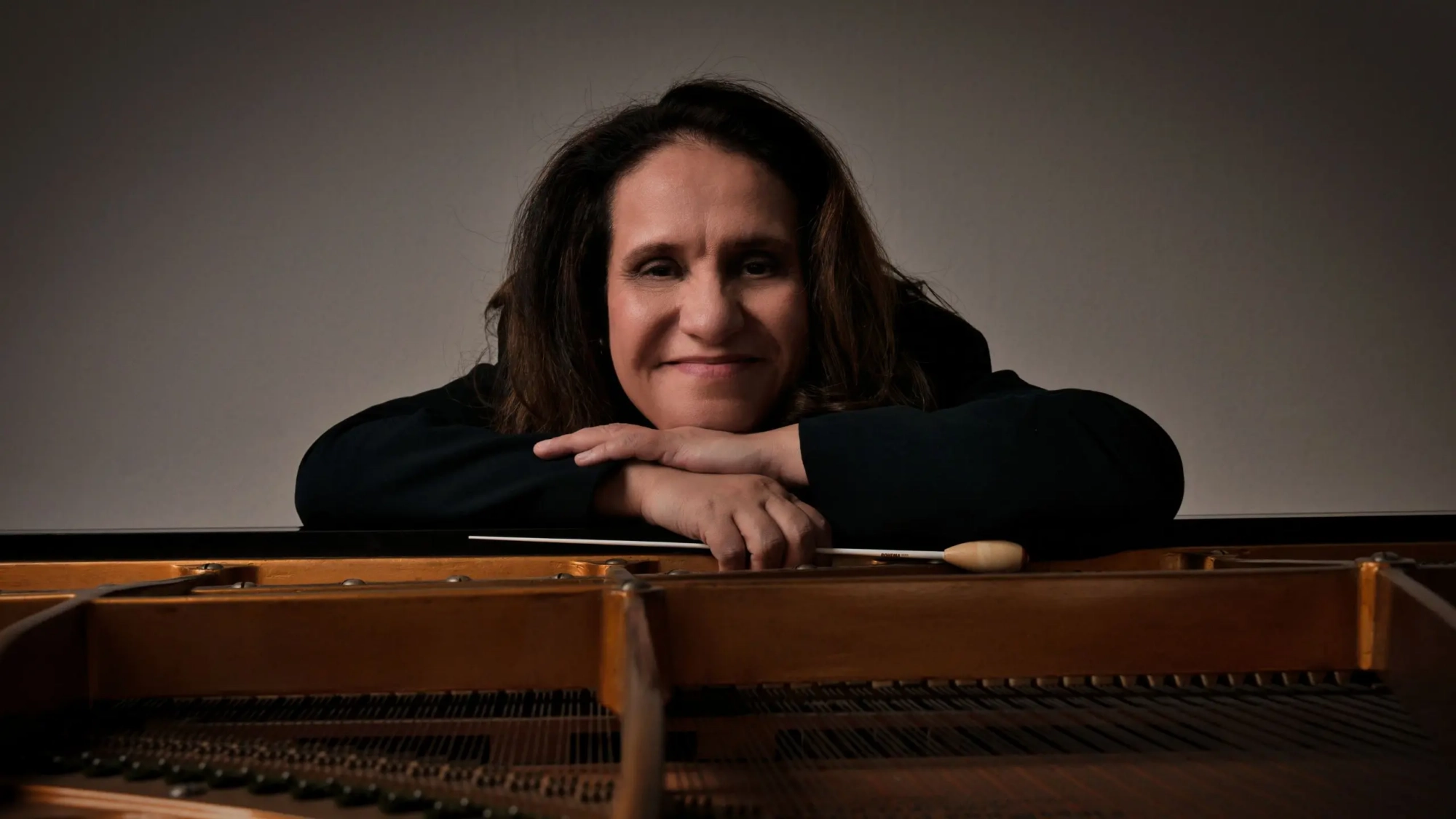 andrea botelho (banner)