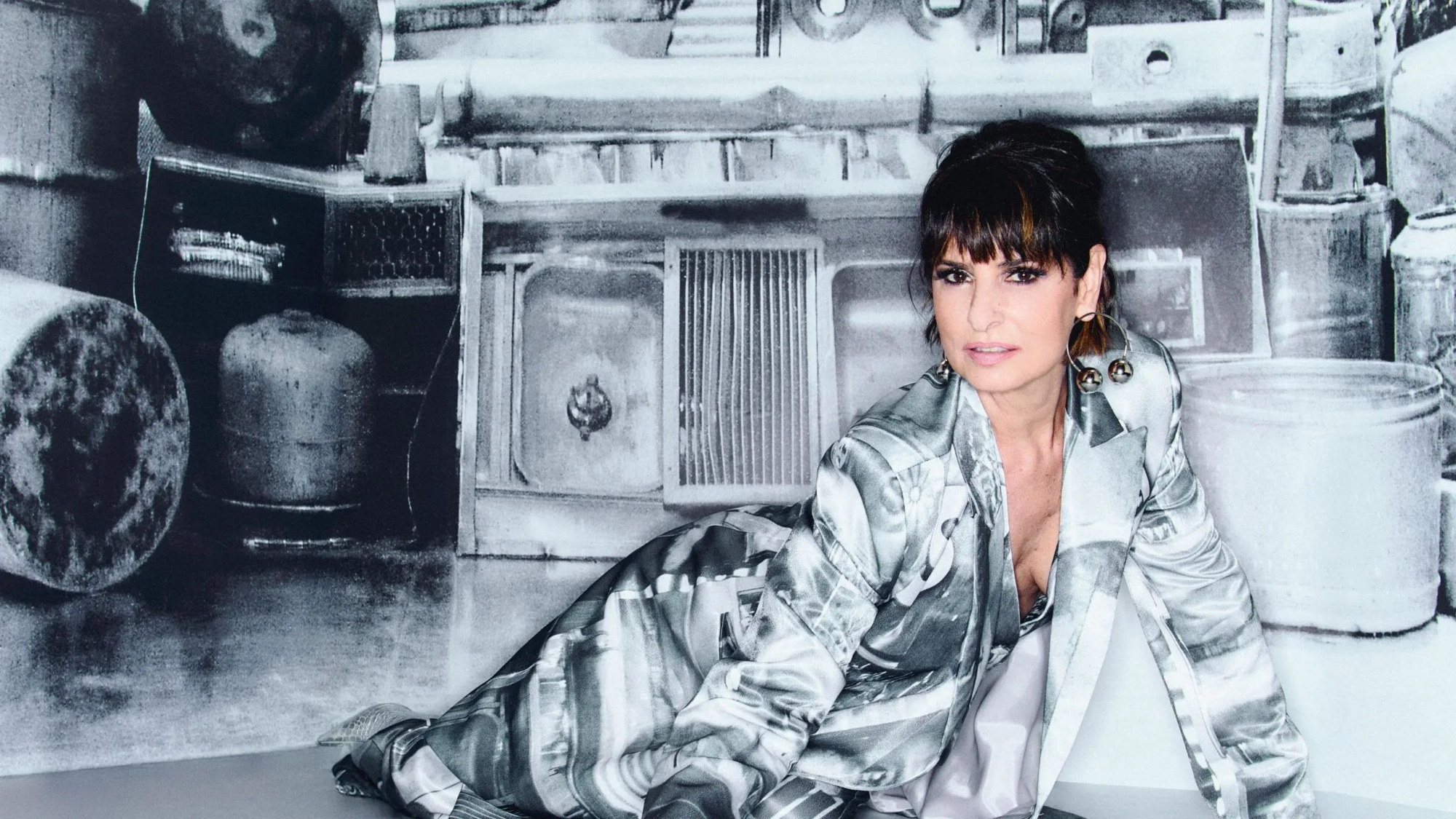 fernanda abreu (banner)