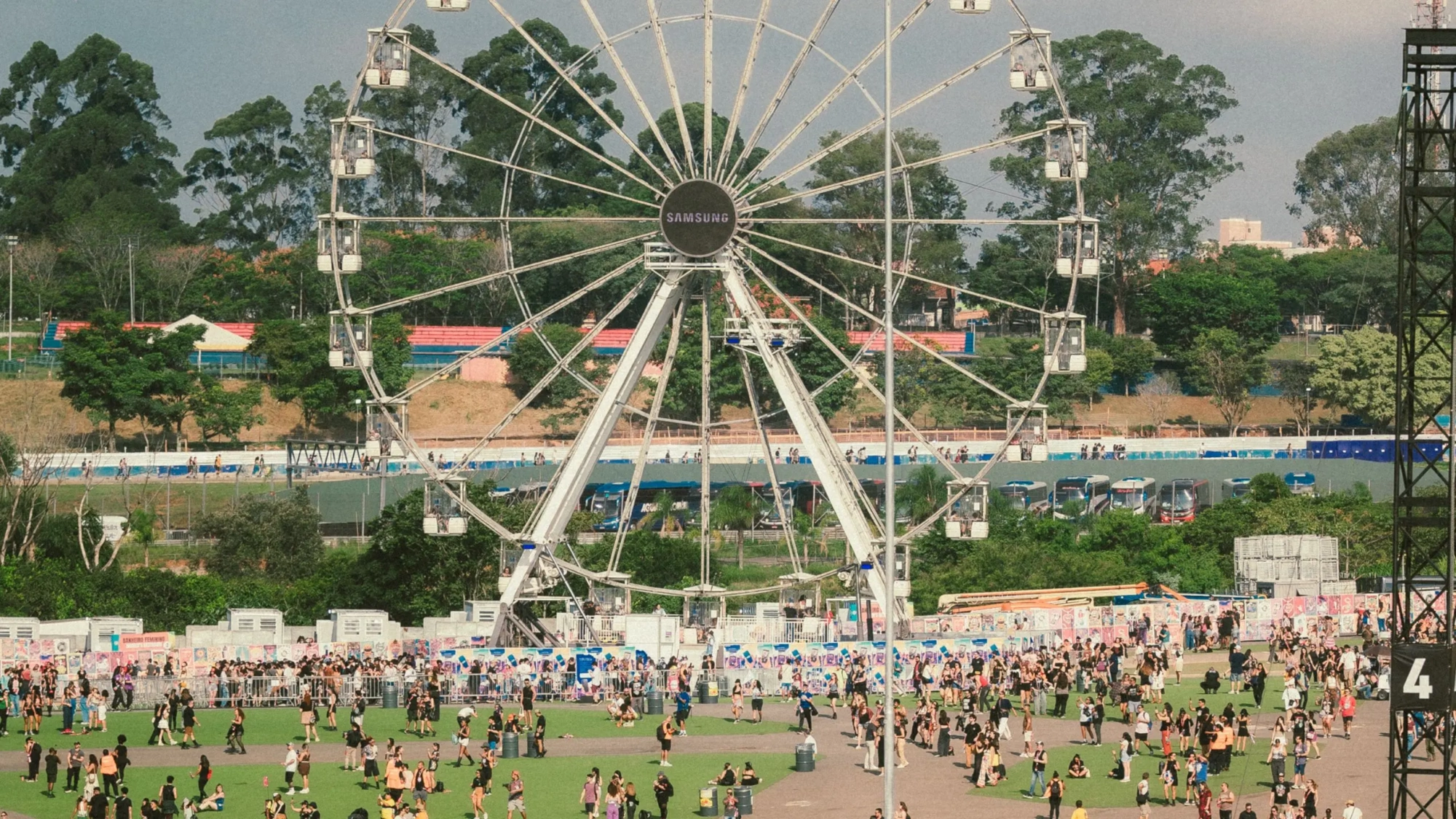 lolla (banner)