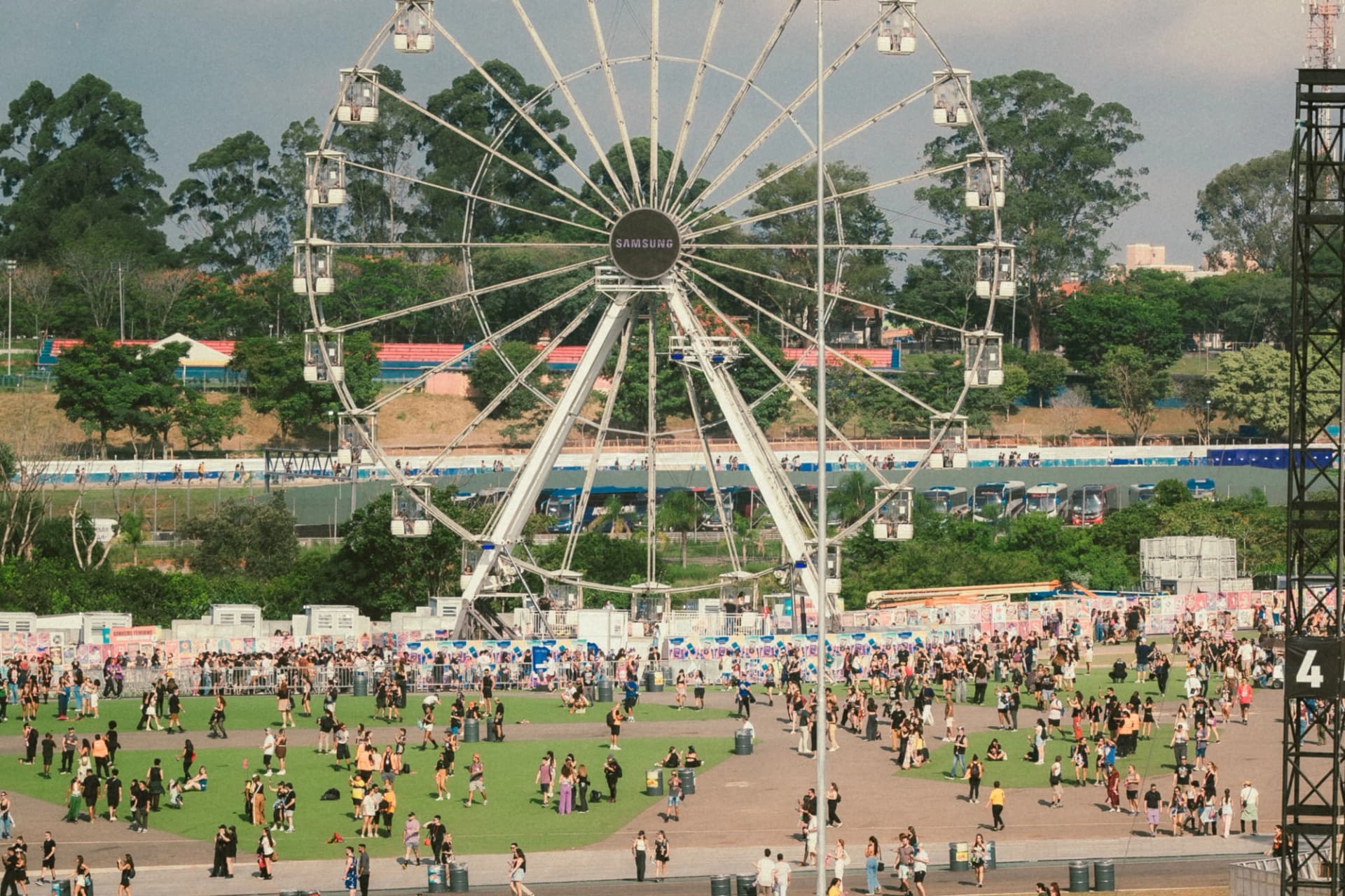 lolla (feature)