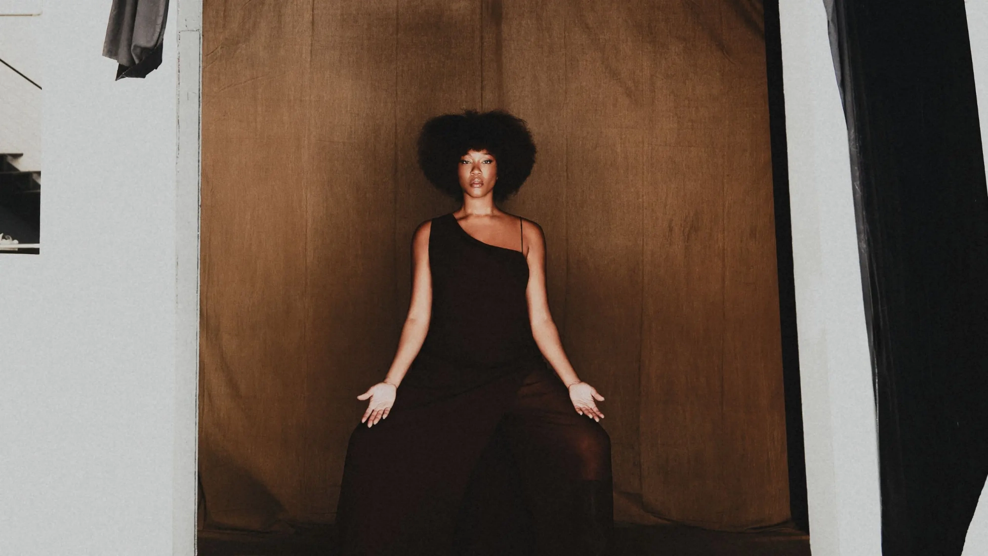 luedji luna (banner)